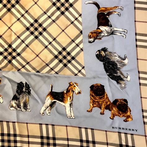 burberry pet scarf|authentic Burberry scarf.